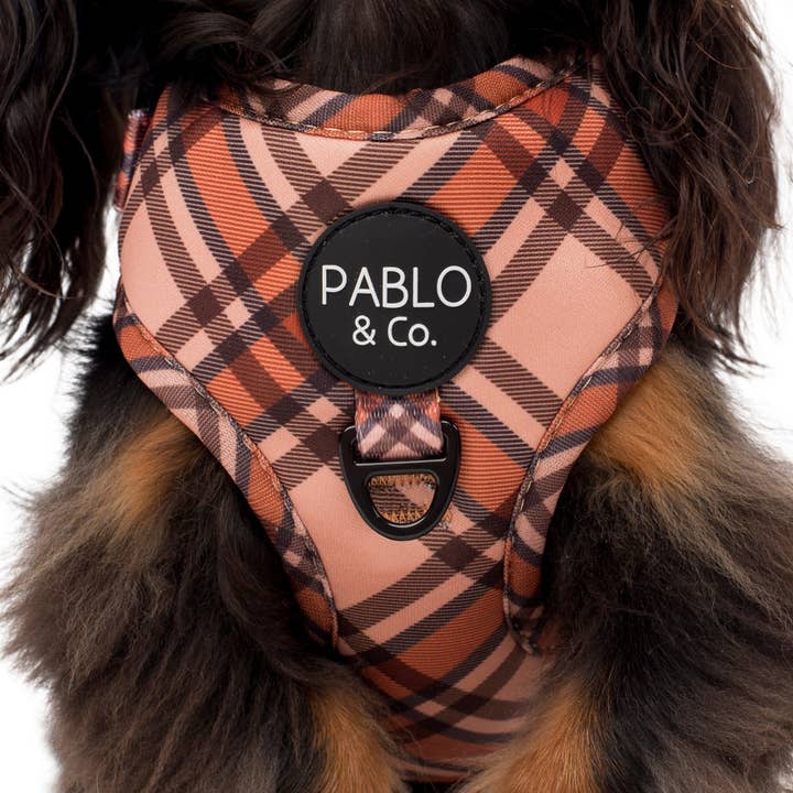 Pablo & Co. Boutique - Wholesale Pet Harness - Dog - Kensington: Adjustable Harness