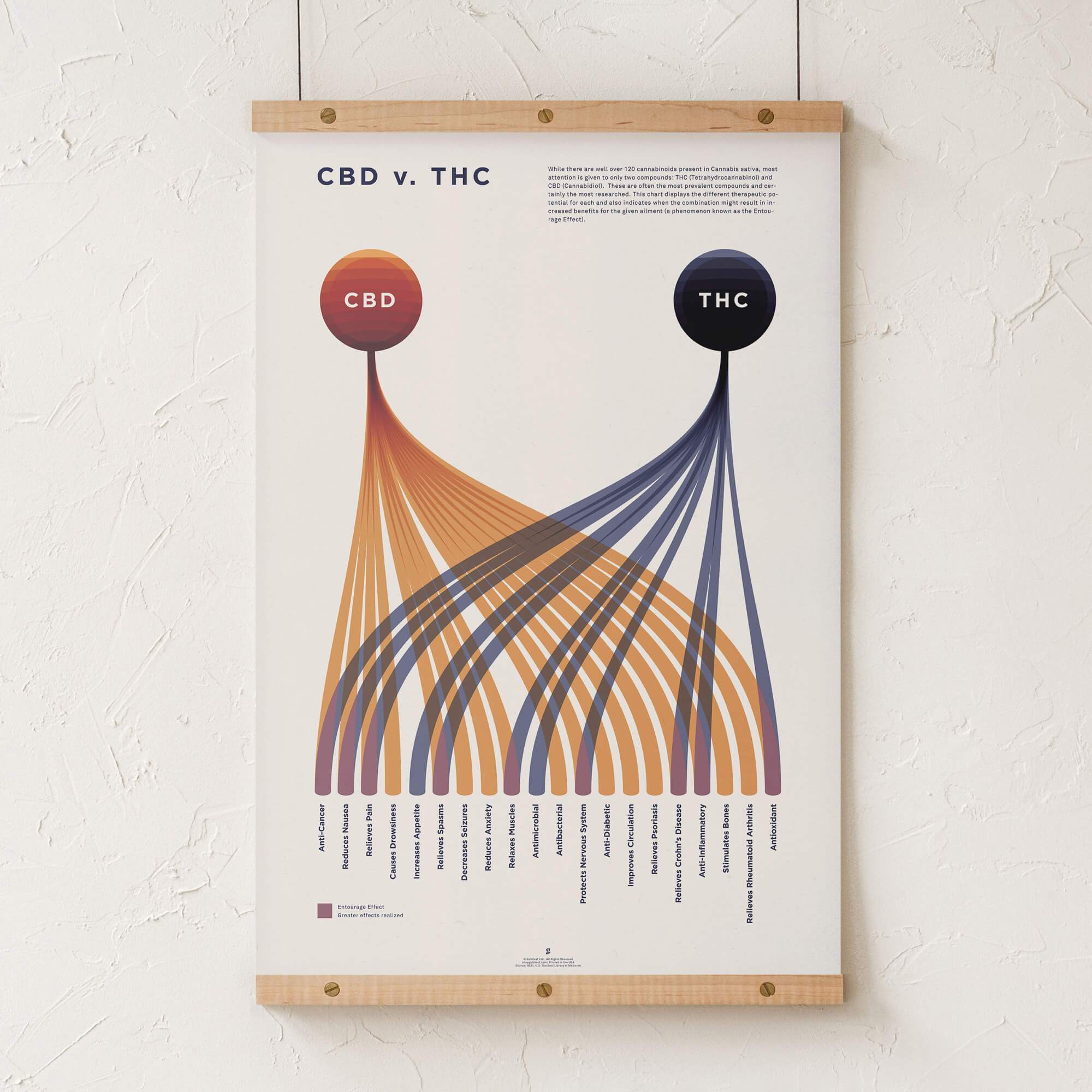 Goldleaf - Wholesale Art Print - CBD v. THC Comparison Chart Print5