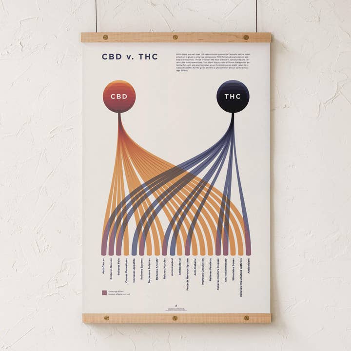 Goldleaf - Wholesale Art Print - CBD v. THC Comparison Chart Print5