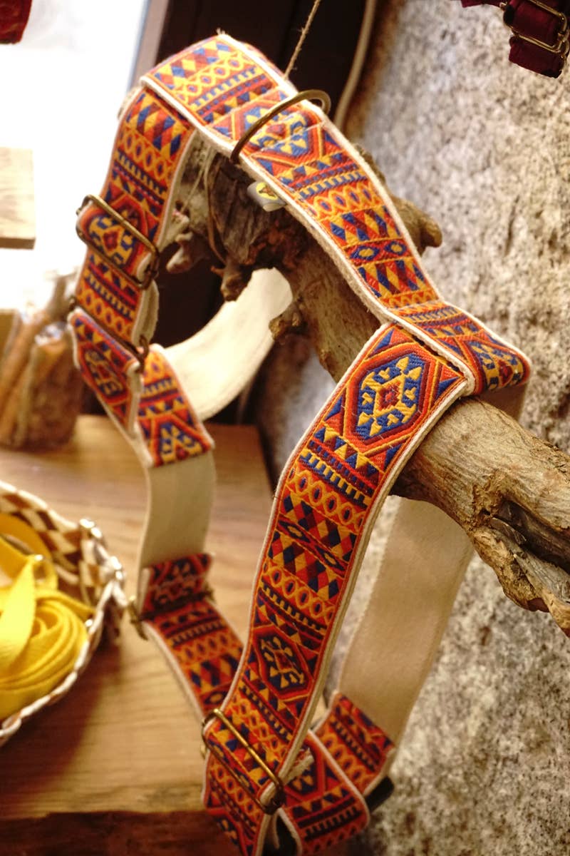 hundsfutter - Wholesale Pet Harness - Dog - "Ruben" dog harness and leash12