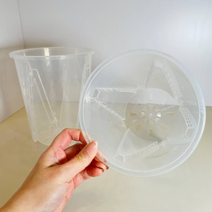 Coco and Palm Trees – wholesale Plant pot – Clear Nursery Pot 6.3"0