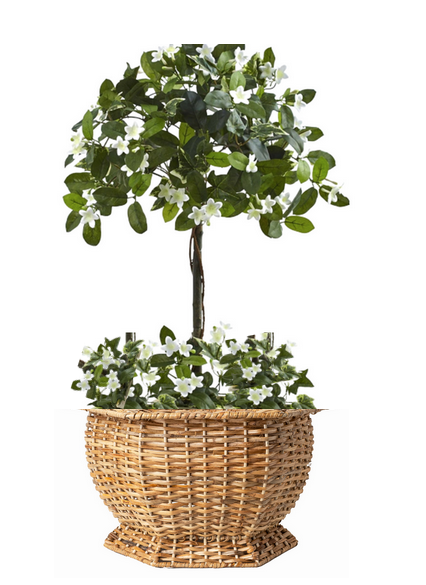 The Enchanted Home - Wholesale Plant Pot - HEXAGON WICKER PLANTER1