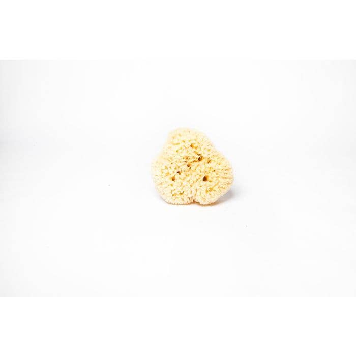 Sponges Direct - Wholesale Badpuff/badspons - Wolvormen1