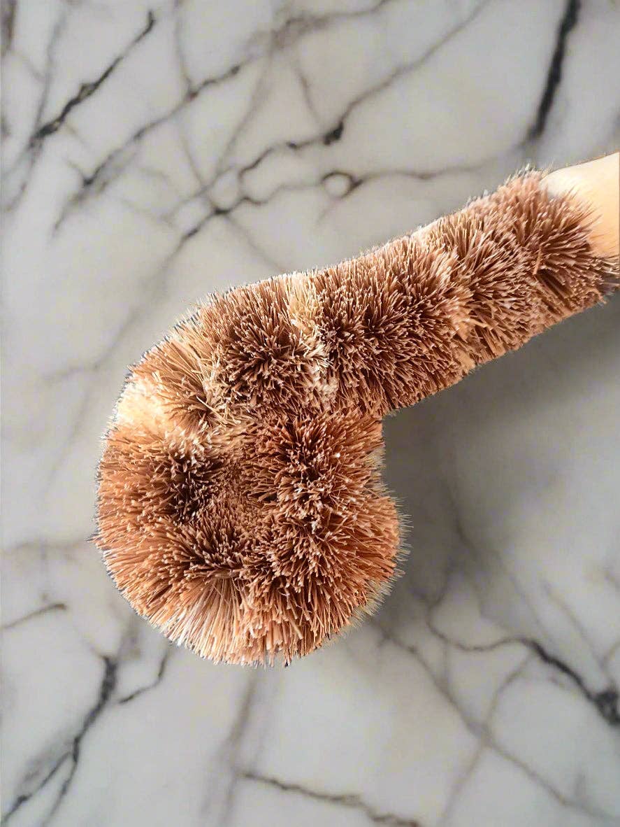 Earthly Change - Wholesale Schoonmaakborstel - Composteerbare huishoudelijke schoonmaakborstels4