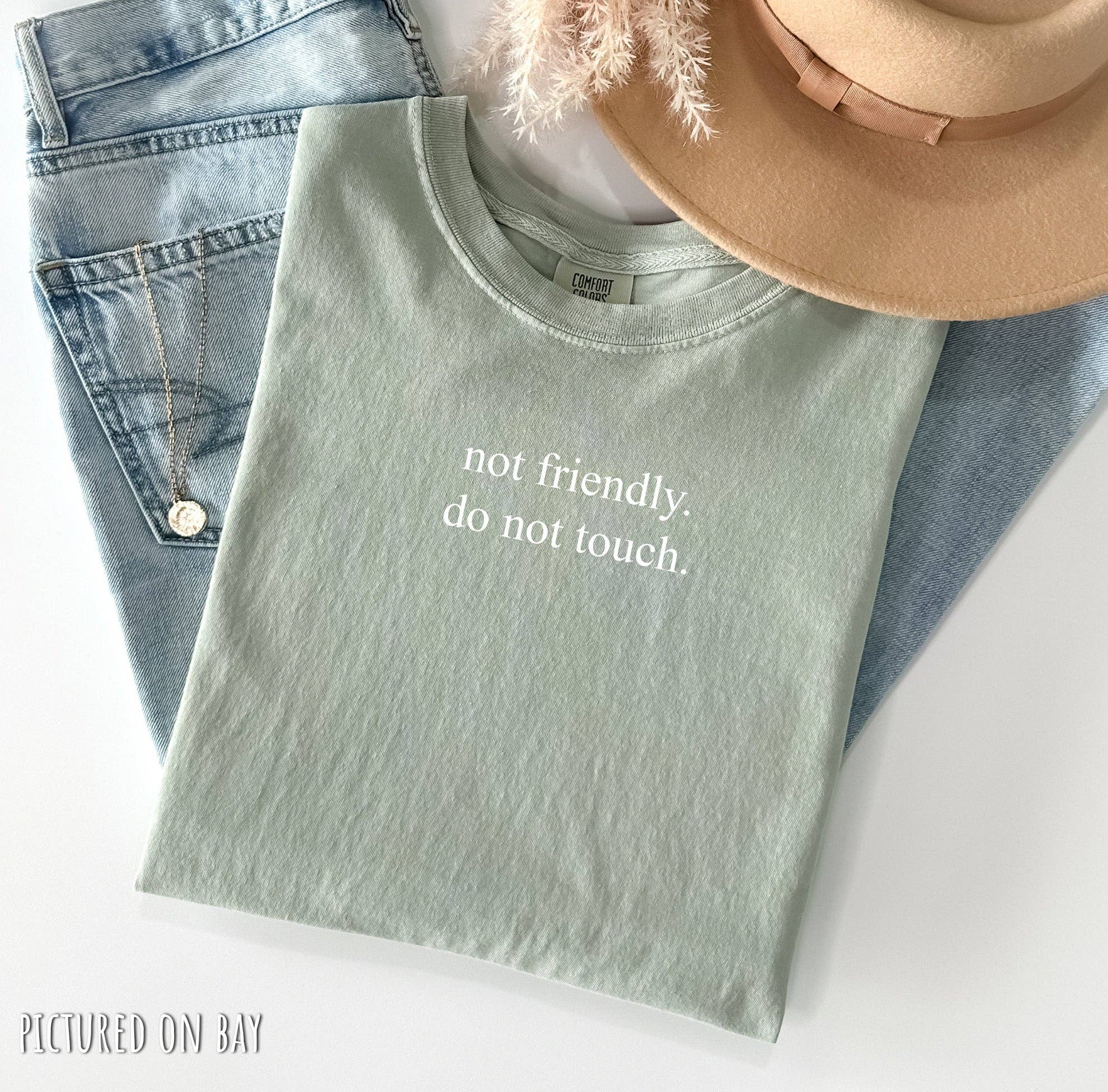 Blue Giraffe Inc - Wholesale Shirt - Women's - Not Friendly, Do Not Touch Minimalist T-Shirt7