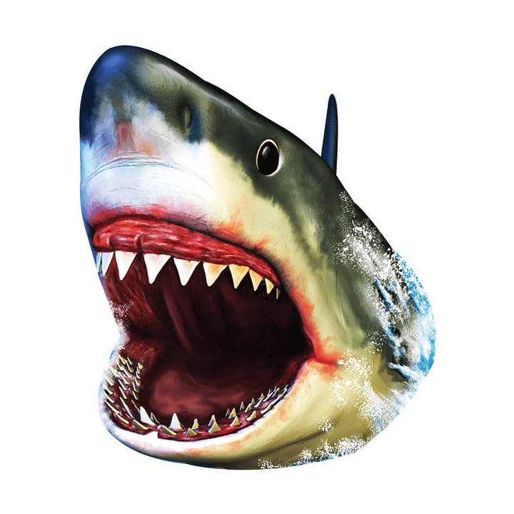 Shark Car Window Decal for wholesale by AAHS Enterprises