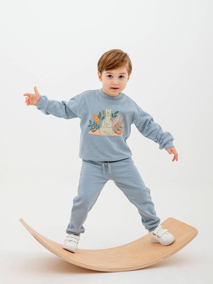 Sudadera con interior cepillado para venta al por mayor de bebetiko