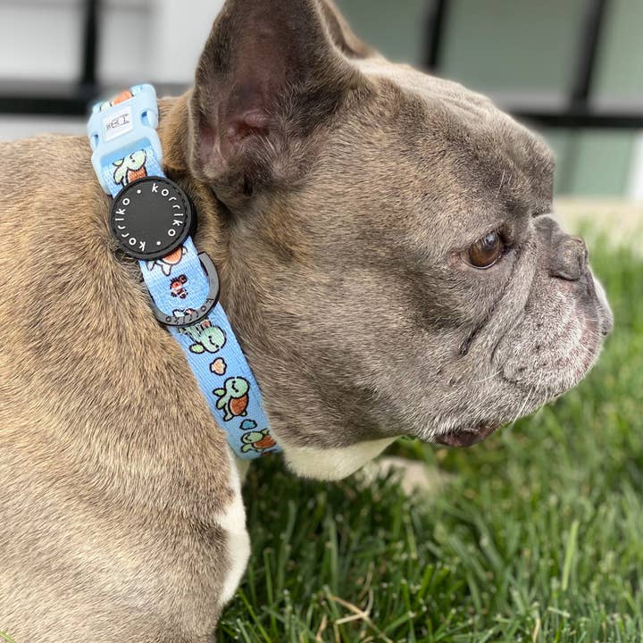 Korriko Pet Supply - Wholesale Pet Collar - Dog - Dog Collar - Under The Sea