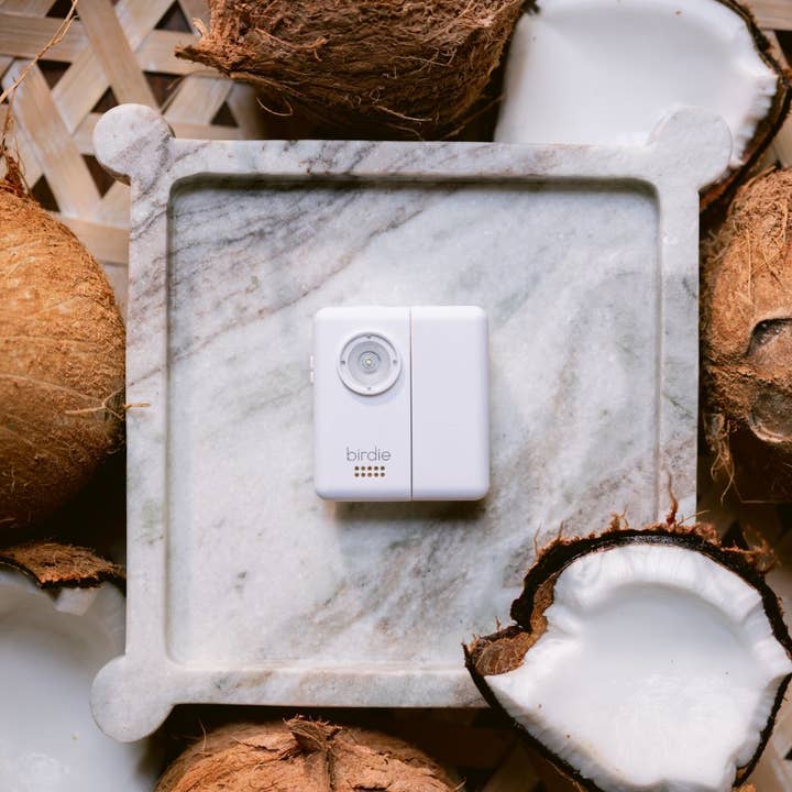 She's Birdie - Wholesale Safety Alarm/Gear - Birdie Box8