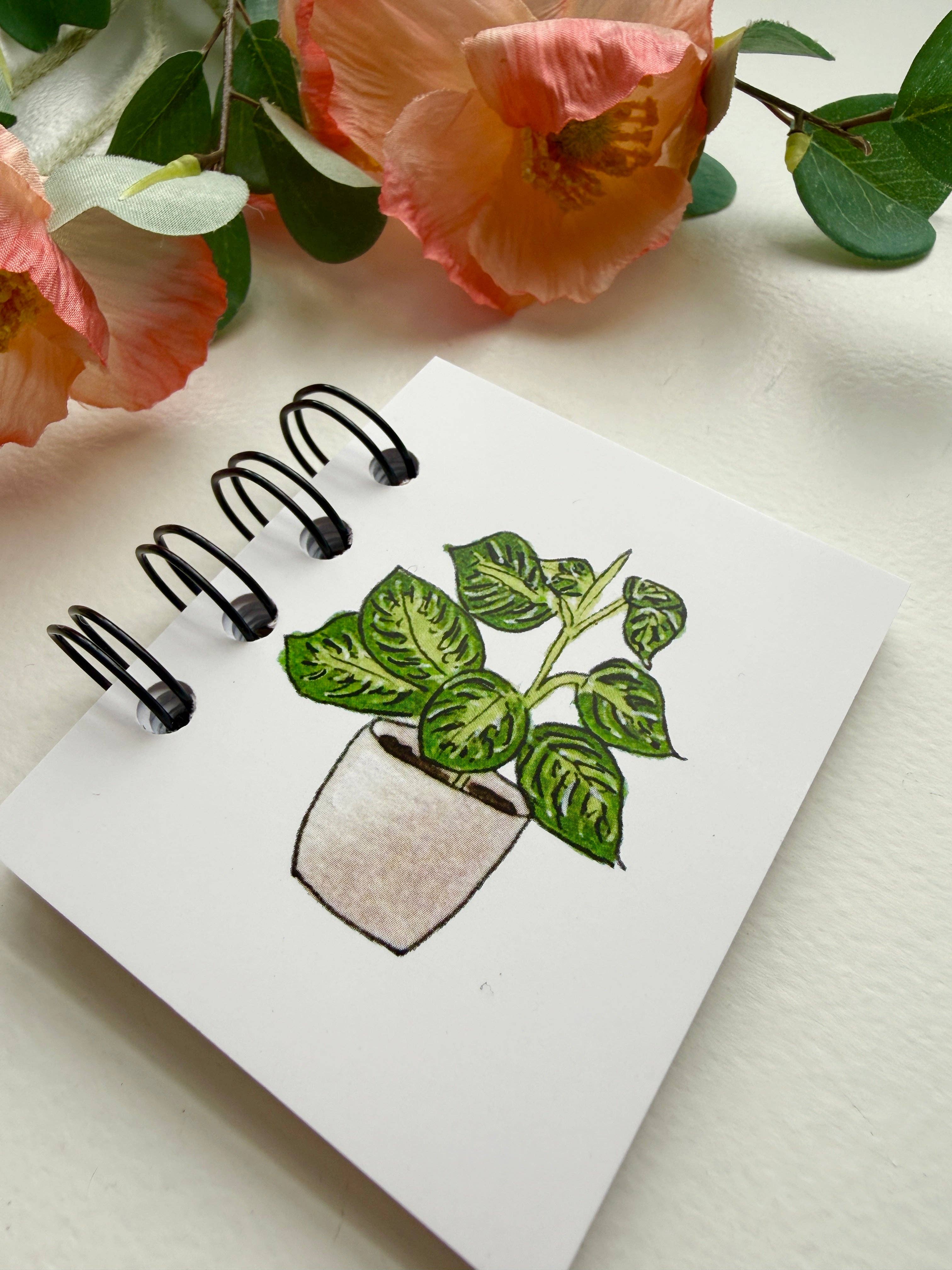 D. Prince Designs - Wholesale Notebook - Hand-Illustrated + Handmade Mini Notebook/Sketchbook | Maranta Houseplant1
