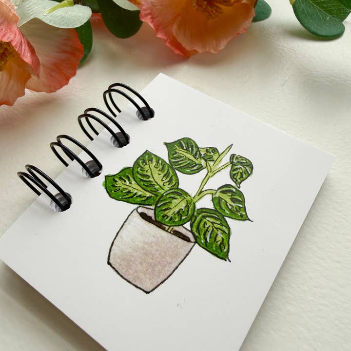 D. Prince Designs - Wholesale Notebook - Hand-Illustrated + Handmade Mini Notebook/Sketchbook | Maranta Houseplant1