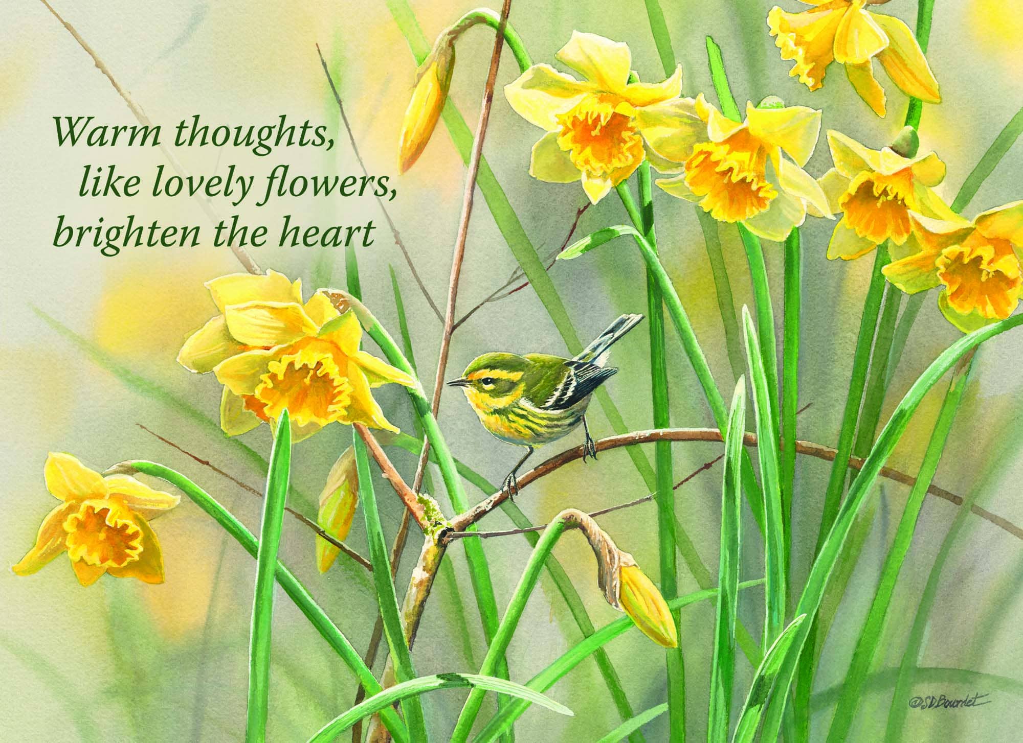 Crown Point Graphics - Vente Cartes d'anniversaire - Grand assortiment pour toutes les occasions - 24 cartes7