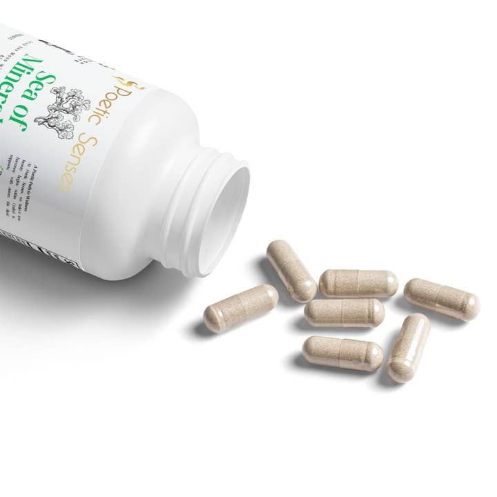 White bottle cap Sea of Minerals Sea Moss Supplement (60 Capsules) for wholesale on Faire1