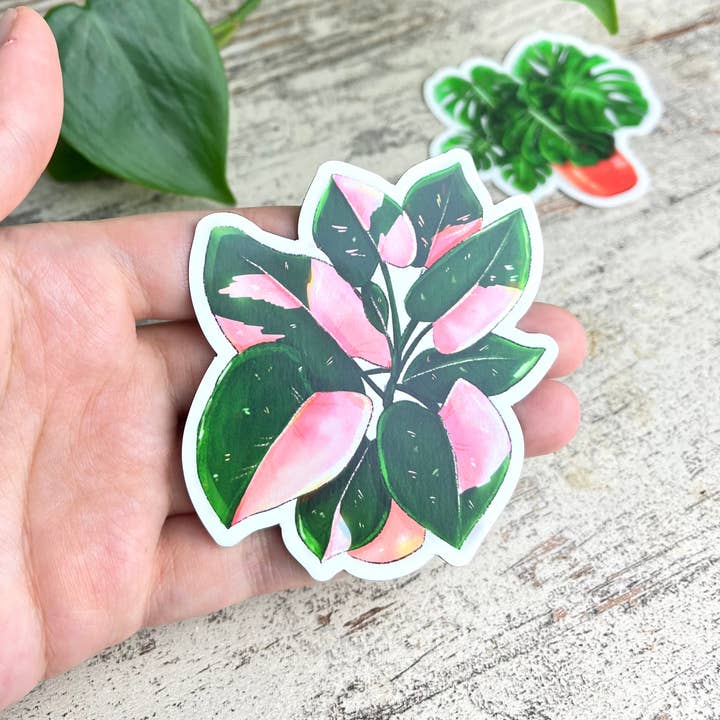 plantyintroverts - Wholesale Magnet - Magnet - Philodendron Pink Princess pot4