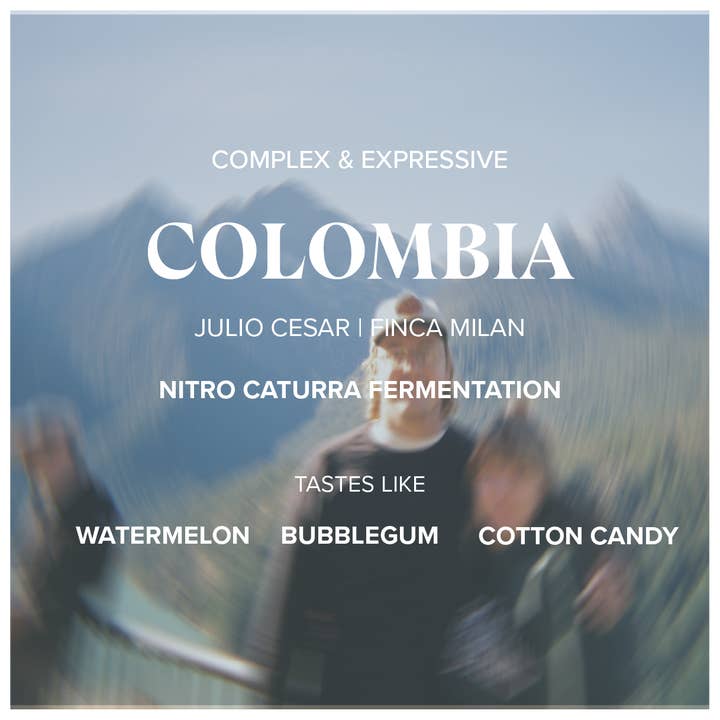 Colombia Nitro Caturra • 5lb • Wholesale for wholesale by Makeworth Coffee Roasters