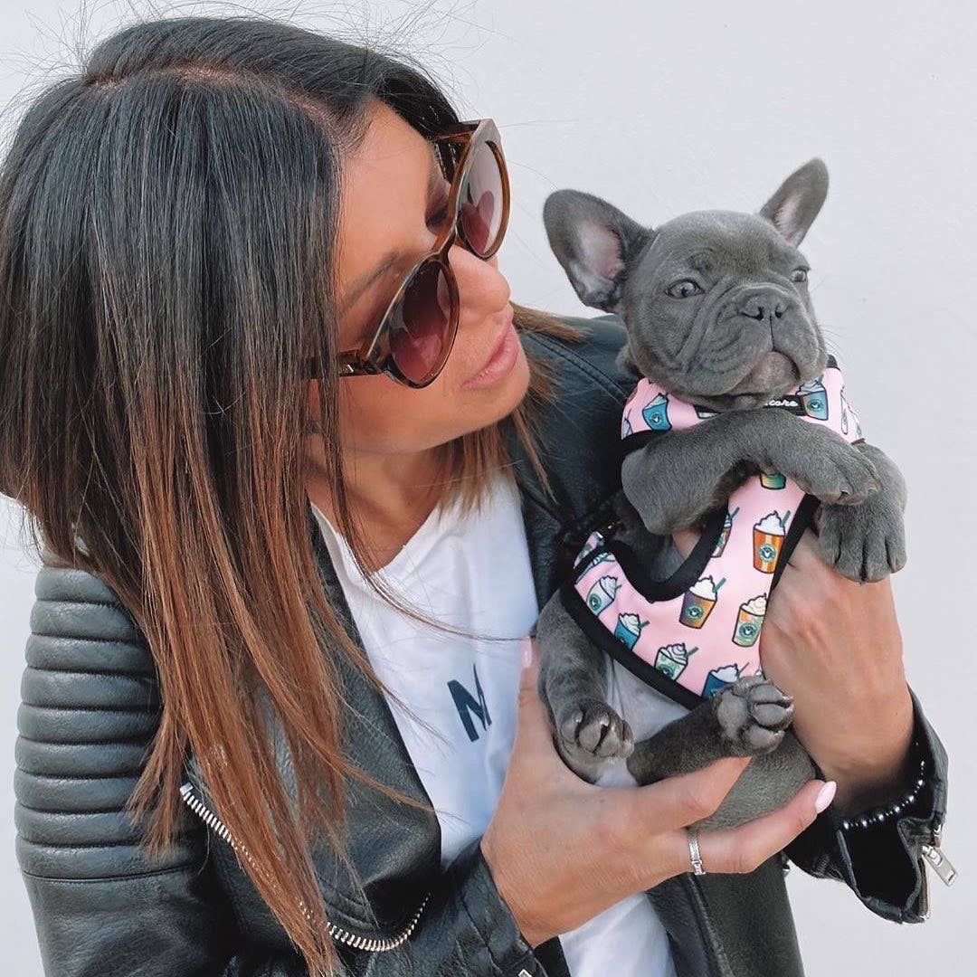 Frenchiestore - Wholesale Pet Harness - Dog - Dog Pet Reversible Health Harness | Pink StarPup11