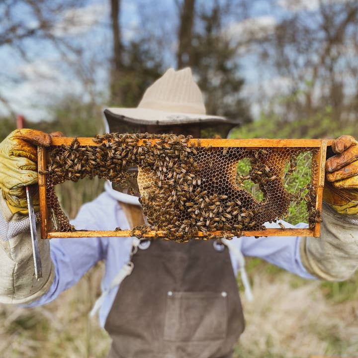 Messner Bee Farm - Wholesale Honey - Strawberry Rhubarb Creamed Honey / 9oz. / Kansas City2