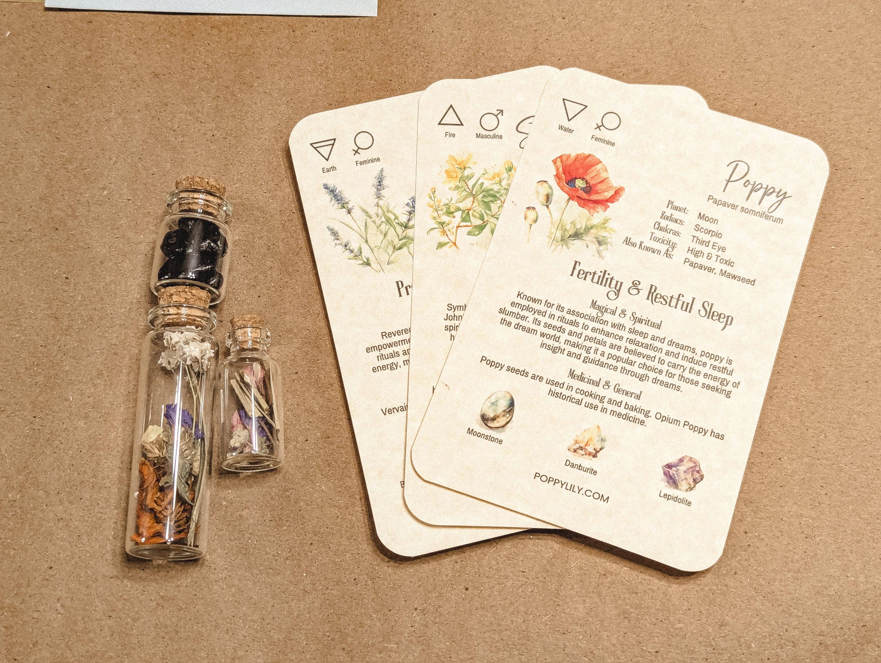 Poppy+Lily - Vendita all'ingrosso Kit per lavoretti fai da te - Kit Diario di Erboristeria: Segnalibro, Adesivi, Tazza3