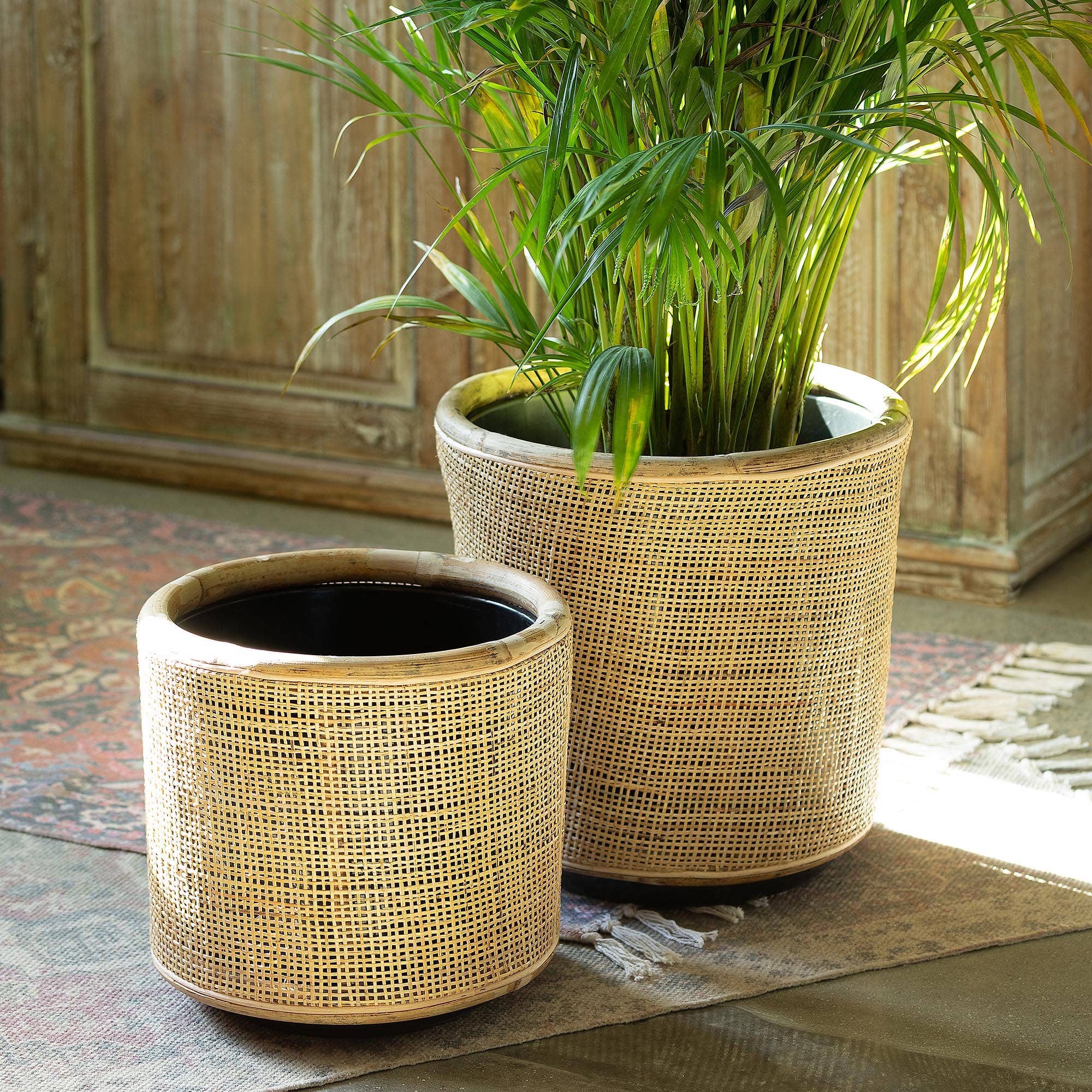 Park Hill Collection - Wholesale Plant Pot - Park Hill Collection Woven Rattan Plant Basket 12in.2