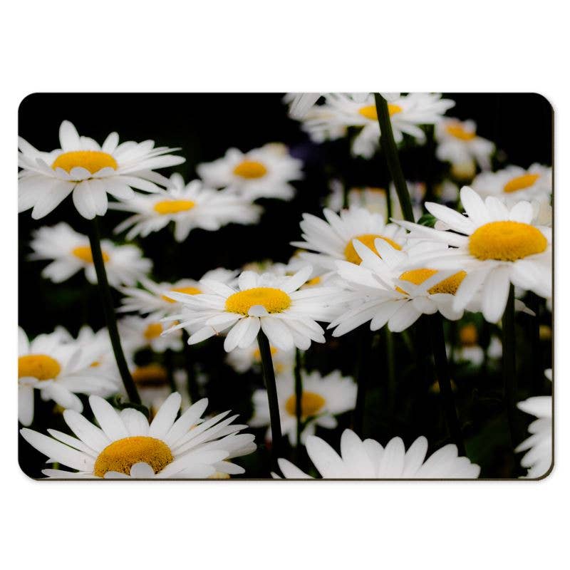 Gregory Dennis Design - Wholesale Placemat - 6 Floral Placemats  - Daisy1