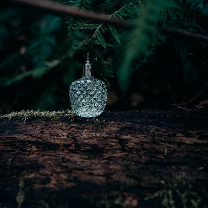 East West Bottlers - Wholesale Perfume/Eau de Toilette - Speakeasy A Lady’s Perfume