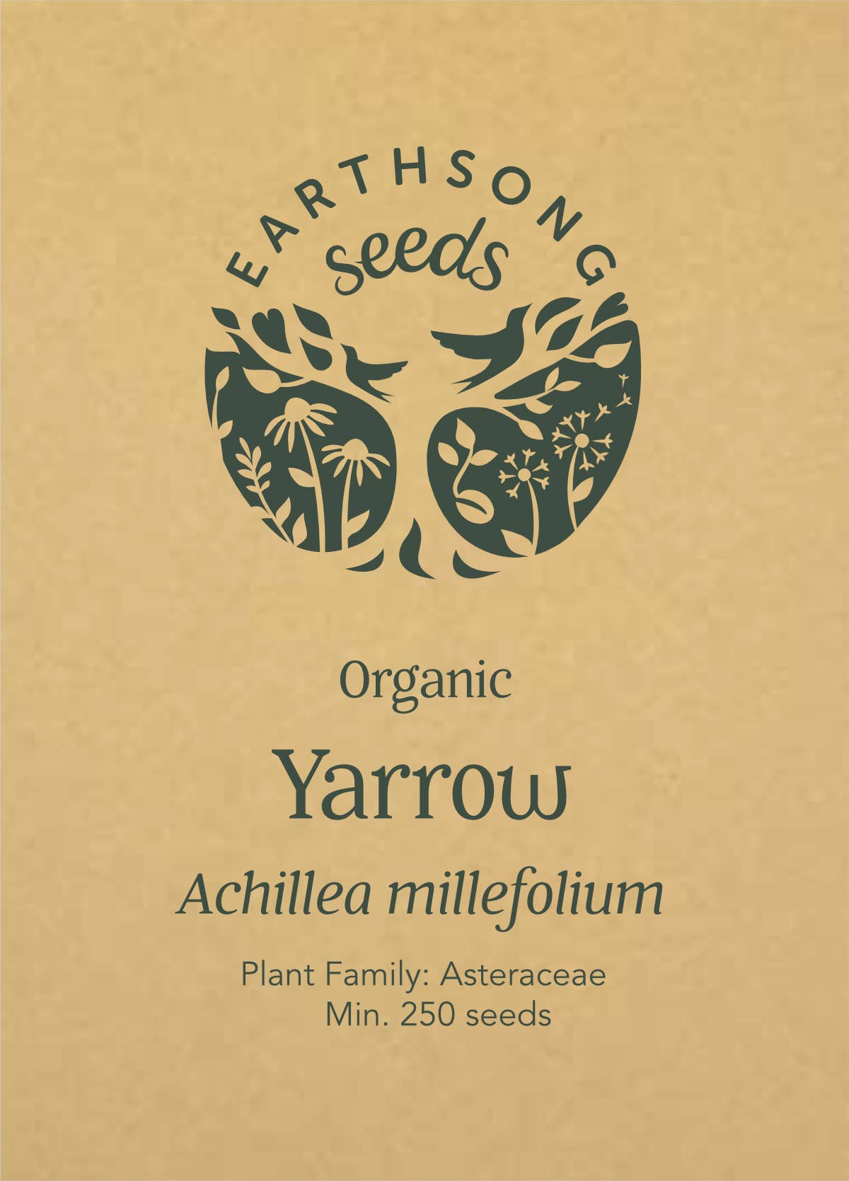 Earthsong Seeds – wholesale Plant seeds – Yarrow: Seed Pack - Organic2