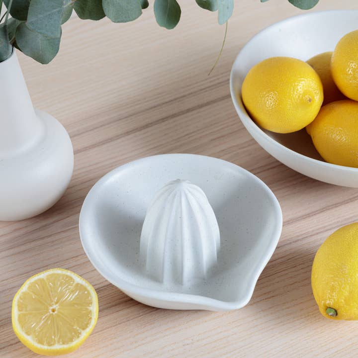 Chickidee – wholesale Bowl – Organics Citrus Squeeze Bowl - Oatmeal1