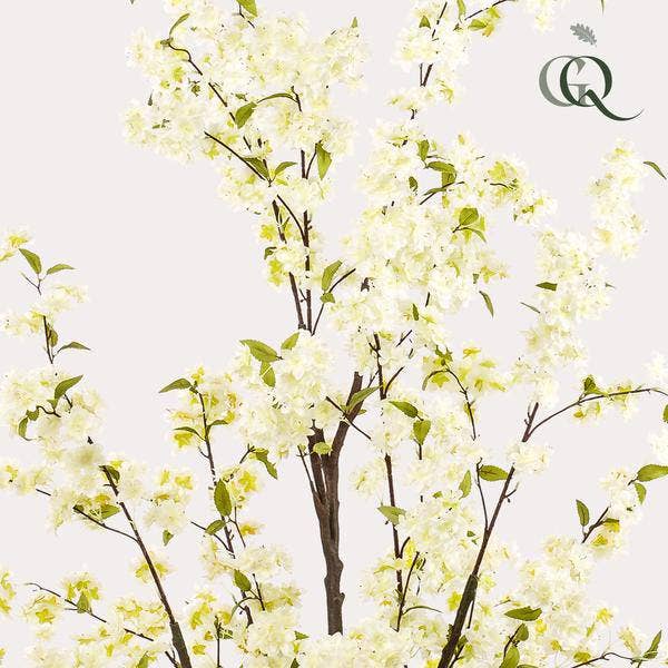 Oasis of Life - Wholesale Artificial Plant - Artificial Cherry Blossom Prunus – White – ↕175cm – High-Quality Artificial Plant for Indoor Spaces – Deceptively Realistic – Decoration for Living Room, Office & Reception1