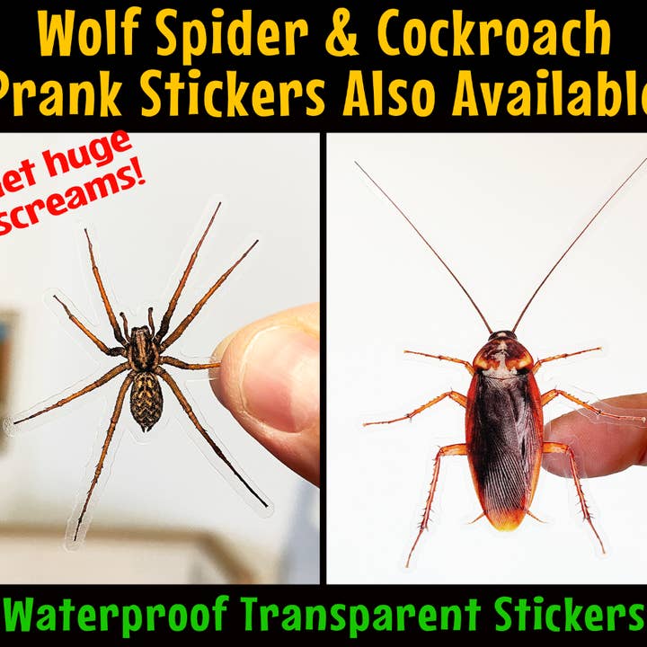Ryan McCulloch Art - Wholesale Sticker - PRANK CLEAR STICKER: Spider (April Fools Practical Joke)7