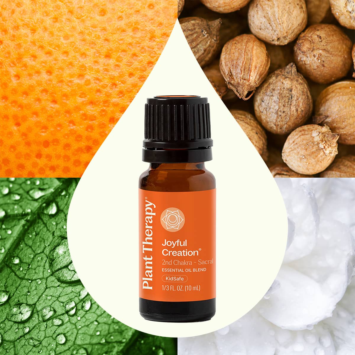 Plant Therapy - Wholesale Essential Oil - Joyful Creation (Sacral Chakra) Essential Oil 10 mL1