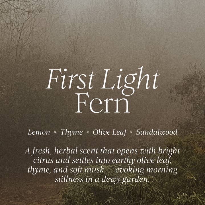 First Light Fern Refill | Thyme + Olive for wholesale by Lunaire