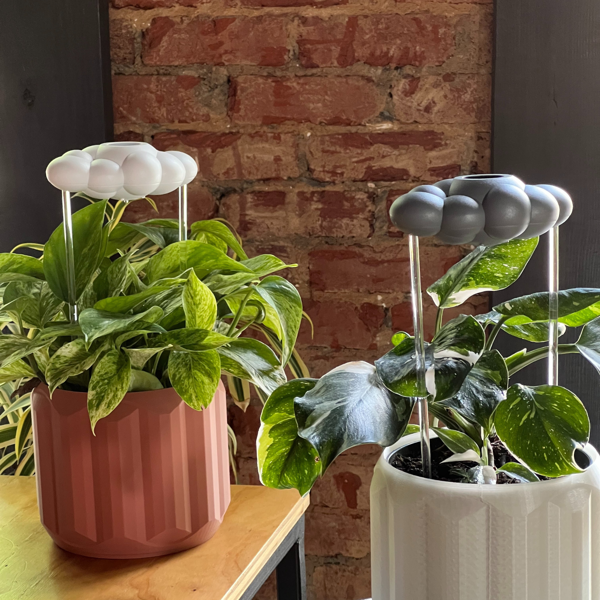 The Cloud Makers - Vendita all'ingrosso Annaffiatoi - Cloud di Pioggia Gocciolante Stormy13