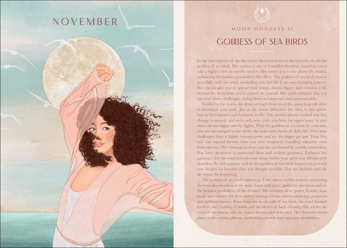 Simon & Schuster - Wholesale Calendar - 2026 Moon Goddess Planner Calendar: Northern Hemisphere by Nicci  Garaicoa8