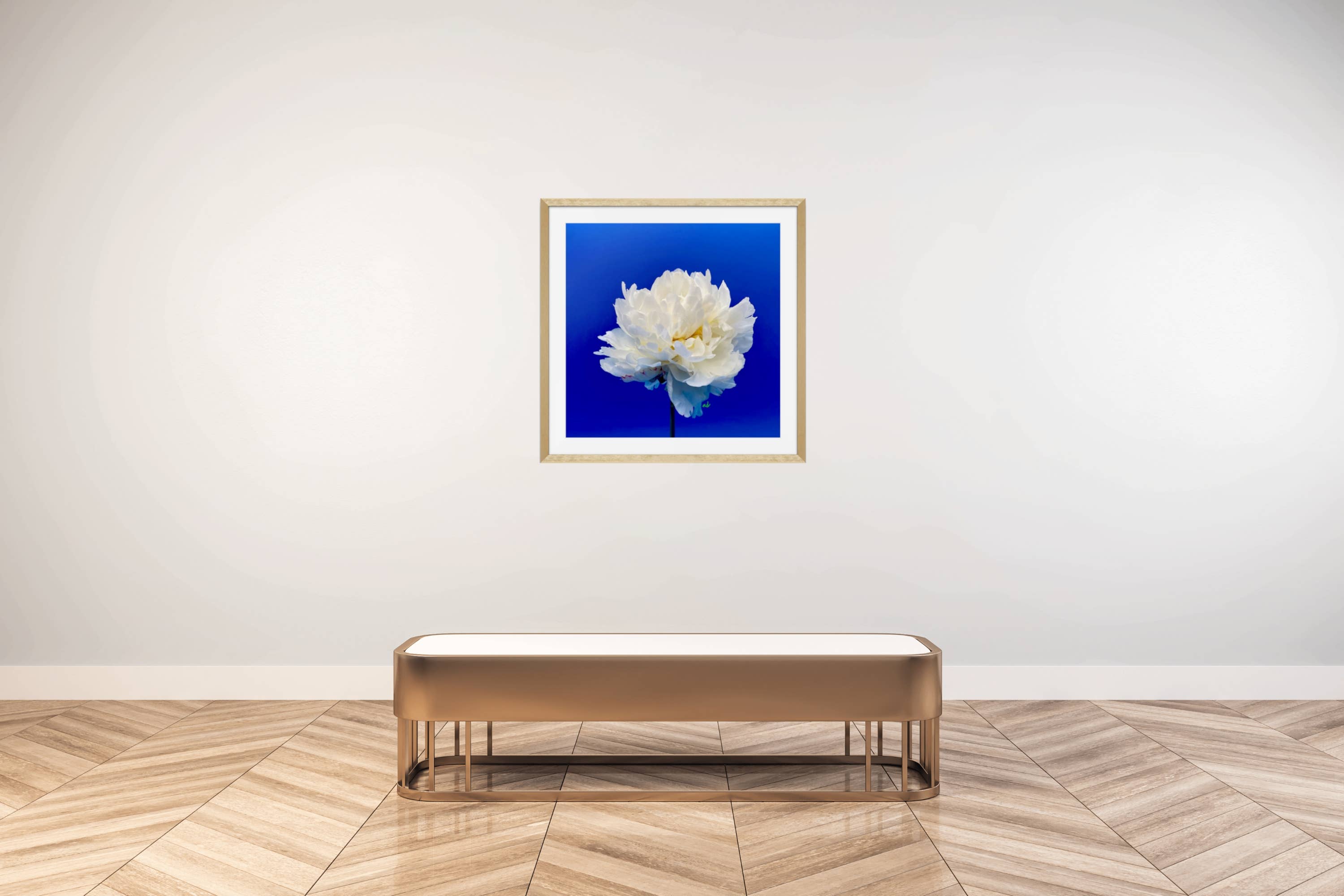 The Blooming Collector - Wholesale Everyday Greeting Card - "Balboa Blue" White Peony Single Card2
