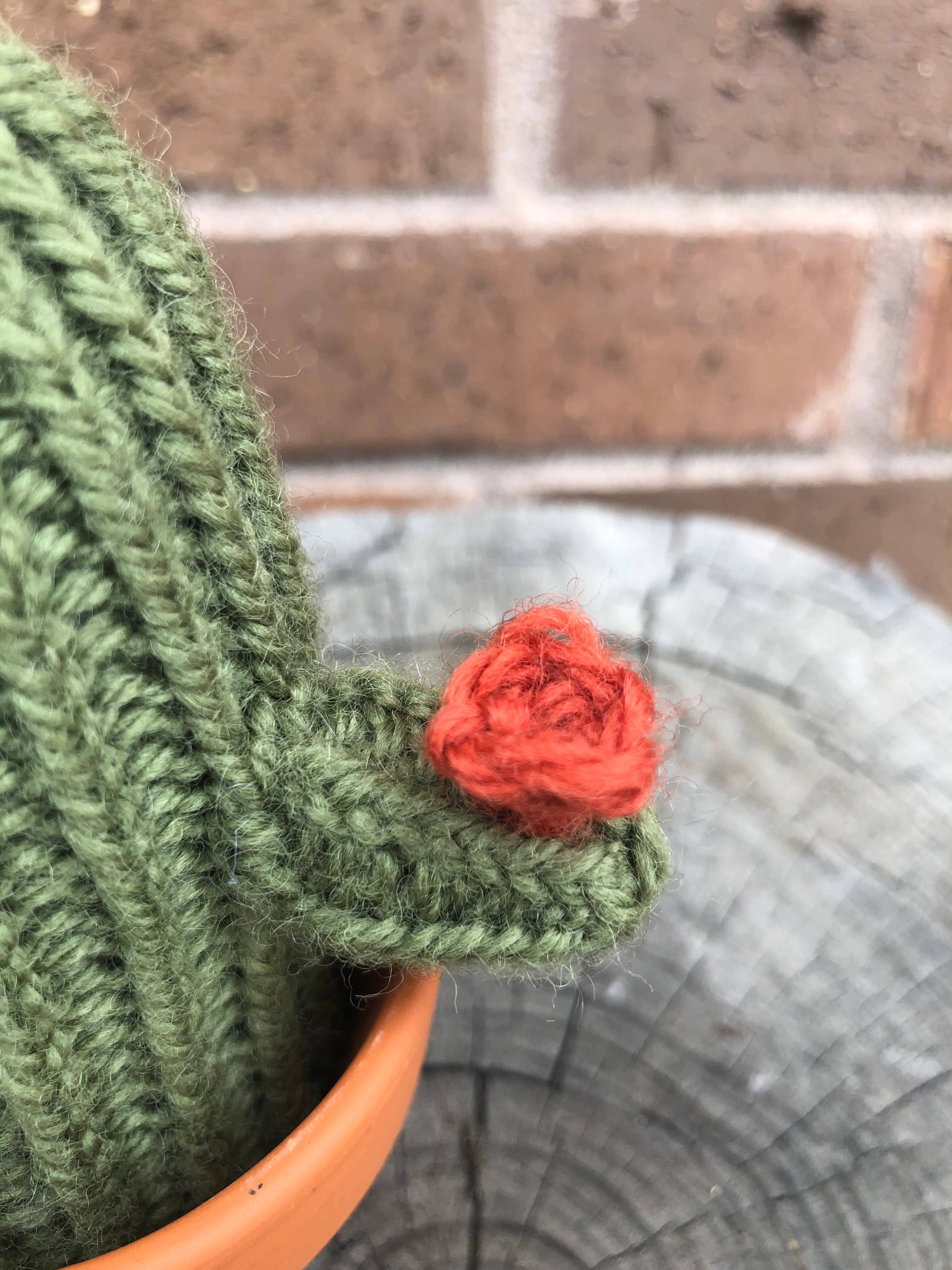 eM knits - Wholesale Knitting/Crochet Supplies - Knitting Pattern- A Prickle of Cactus6