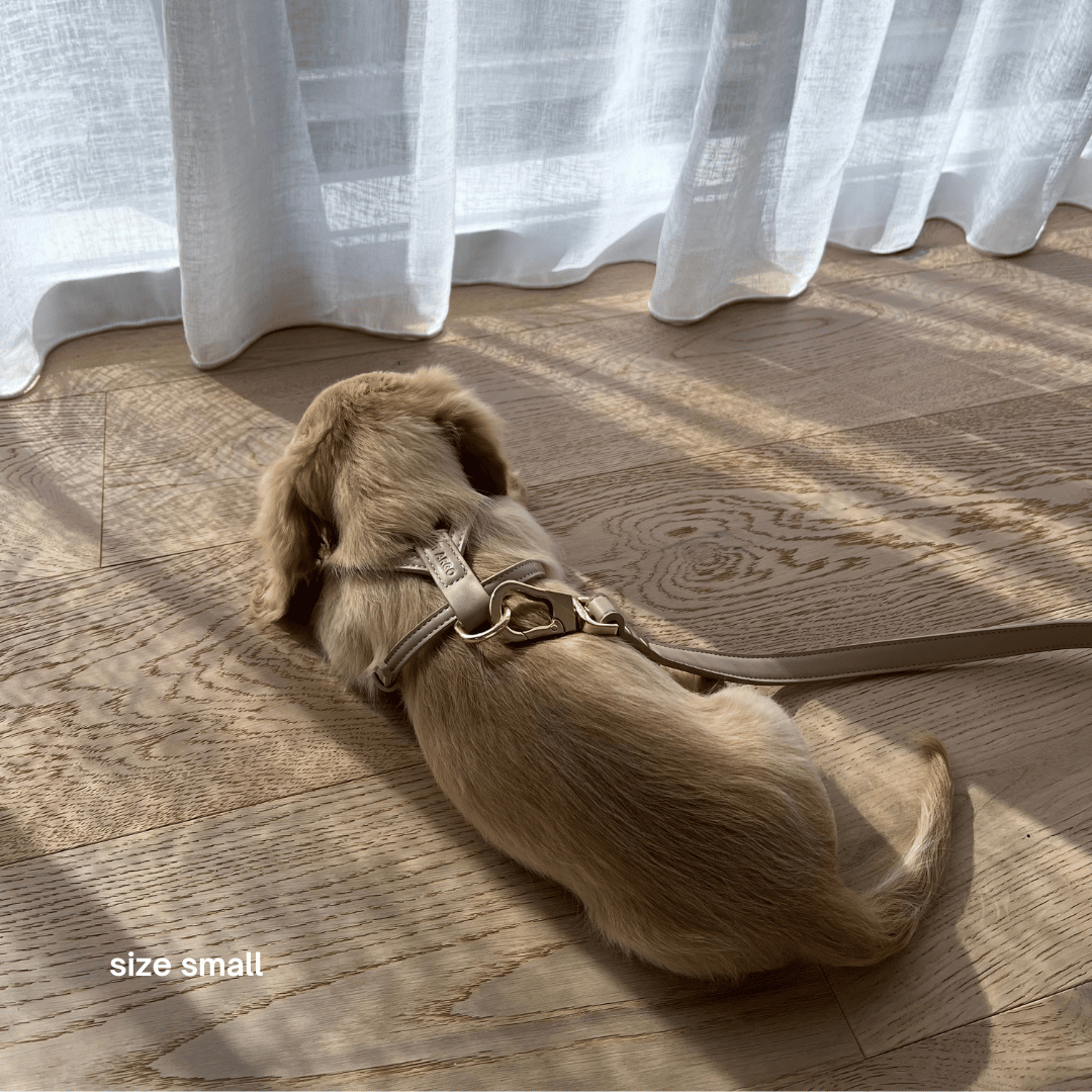 ST ARGO - Wholesale Pet harness – Dog - HARNESS - Cream3