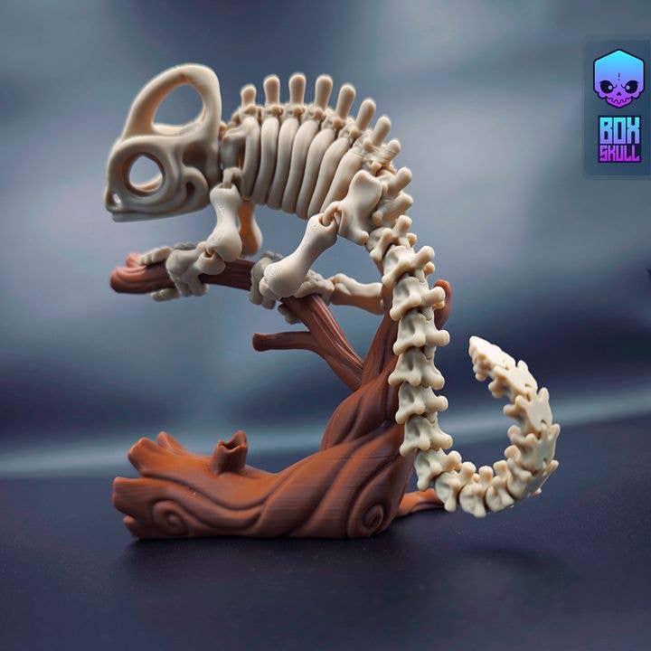 Great American Designs - Wholesale Fidget Toy - Kids - Articulating Skeleton Chameleon, Flexible 3D Printed Toy5