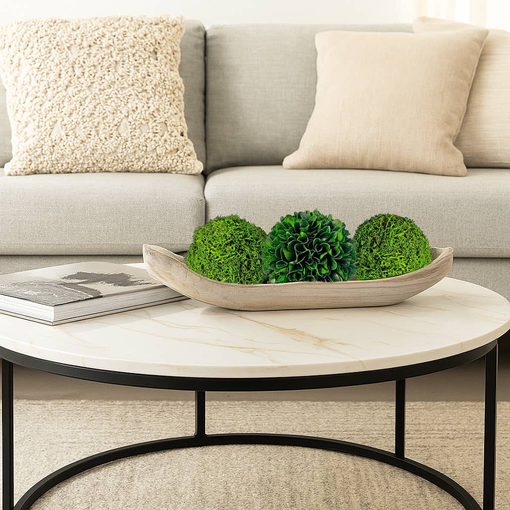 2626 Designs - Wholesale Dried/Pressed Flowers - Box of 3 Preserved Decorative Boxwood Cockscomb Topiary Ball3