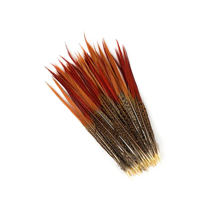 Zucker Feather Products - Wholesale Craft Supplies - 10 PC/PKG Golden Pheasant Red Top Tails 10-12"- Natural
