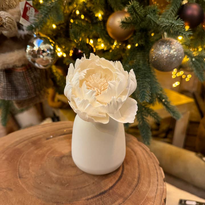 Anoq - Wholesale Reed Diffuser - Ceramic fragrance diffuser - Vase diffuser CORALI Cream2