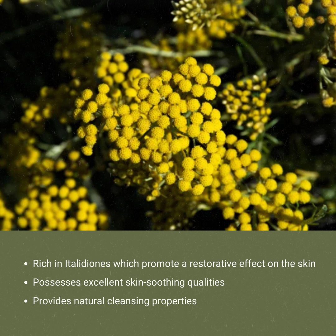 Nature Packaged – wholesale Essential oil – Organic Helichrysum Essential Oils- 100% Pure - Farm-Direct 1