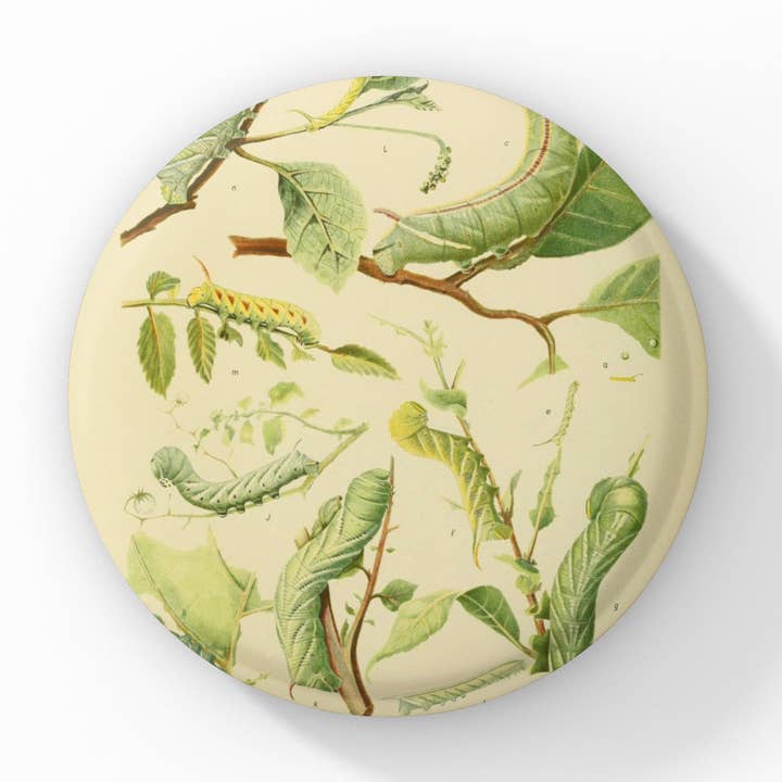 Caterpillar Pin Button, Caterpillar Keychain, Magnet for wholesale by NatureCuts