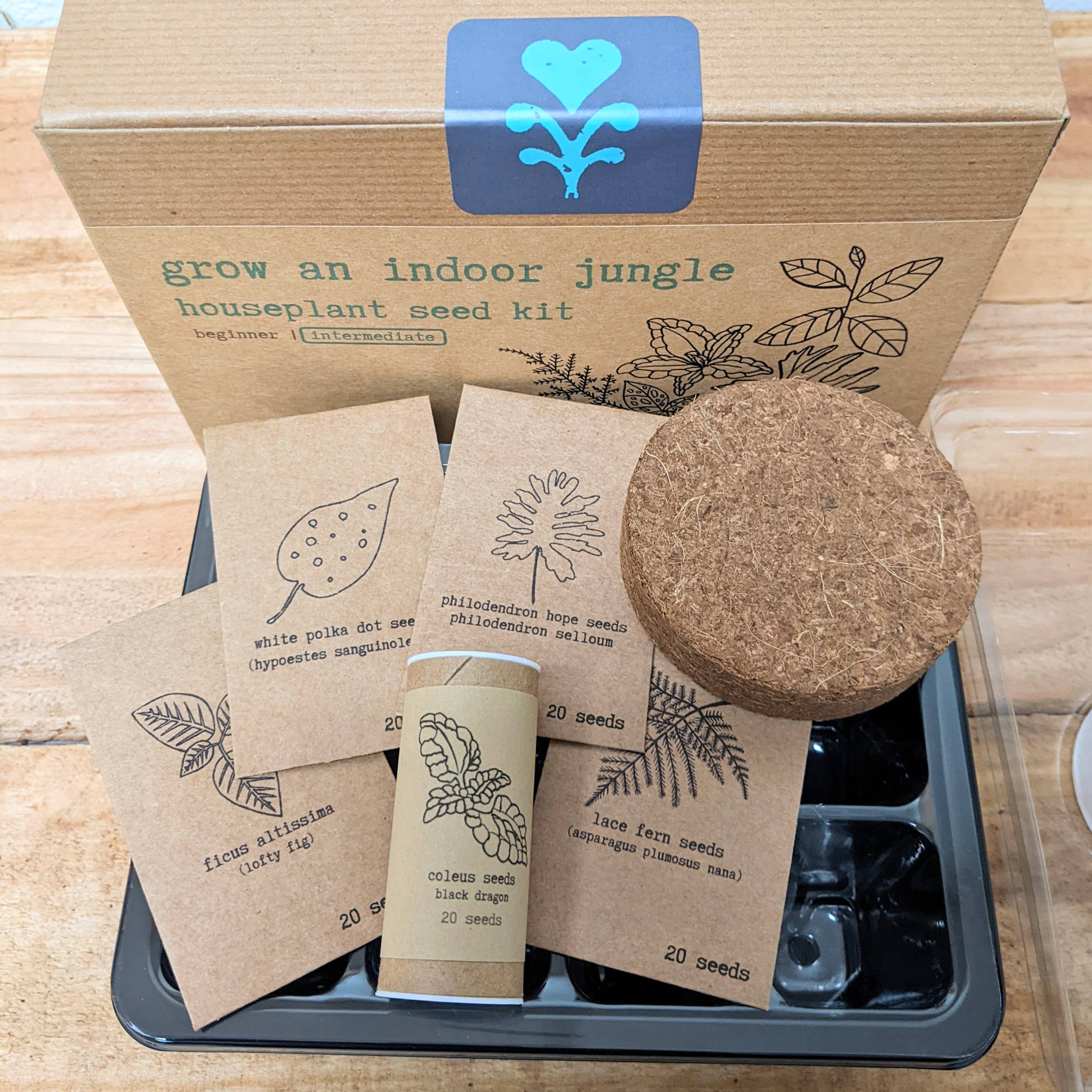 Plantflix - Vente Graines de plantes - Kit de graines pour plantes d'intérieur « Grow an Indoor Jungle »3