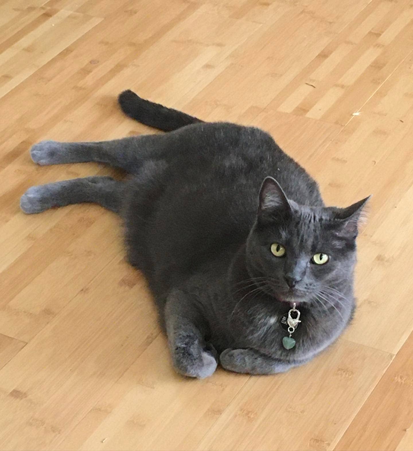 Crystal Pet Love - Wholesale Pet Collar Charm - Cat/Dog - Healing Green Aventurine Pet Pendant for Crystal Support6