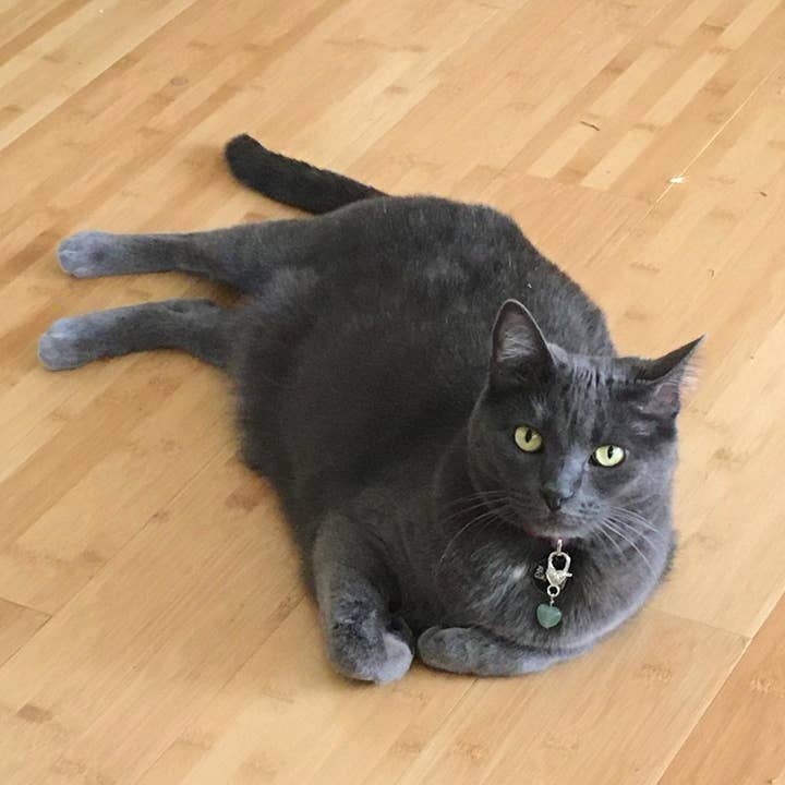 Crystal Pet Love - Wholesale Pet Collar Charm - Cat/Dog - Healing Green Aventurine Pet Pendant for Crystal Support6