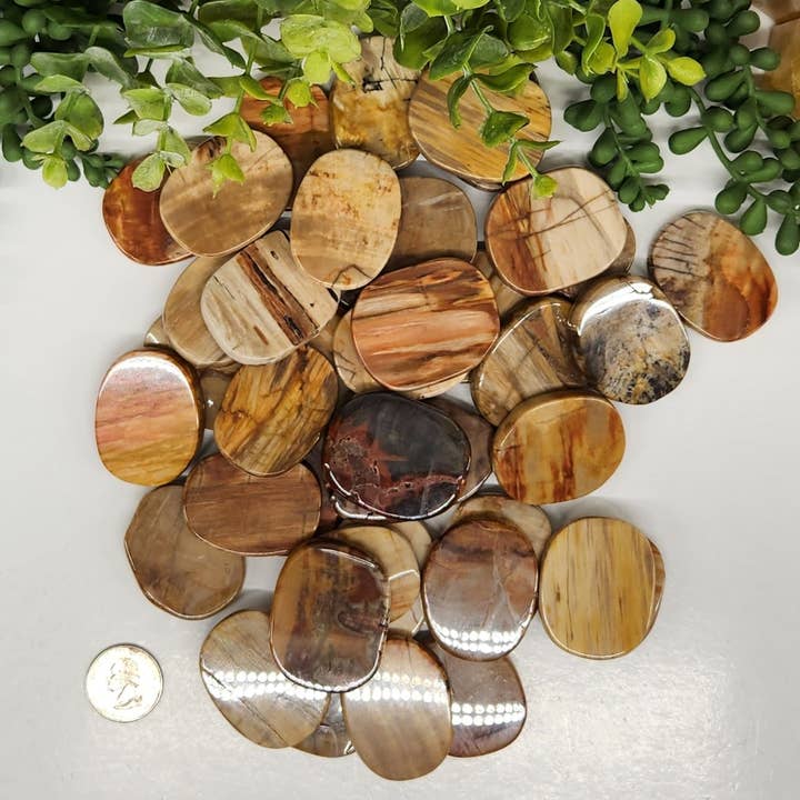 Meraki Gemstones – Engroshandel Spirituelle sten og krystaller – Forstenet træ flade glatte sten (0,5 kg/1,1 lbs) -45x35x7mm