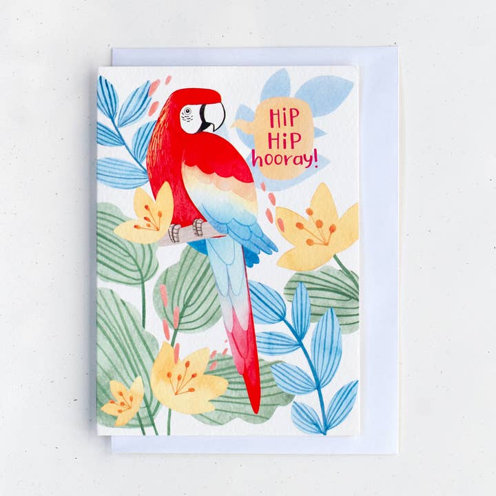 Macaw Birthday Card for wholesale by Natà lia Juan Abelló