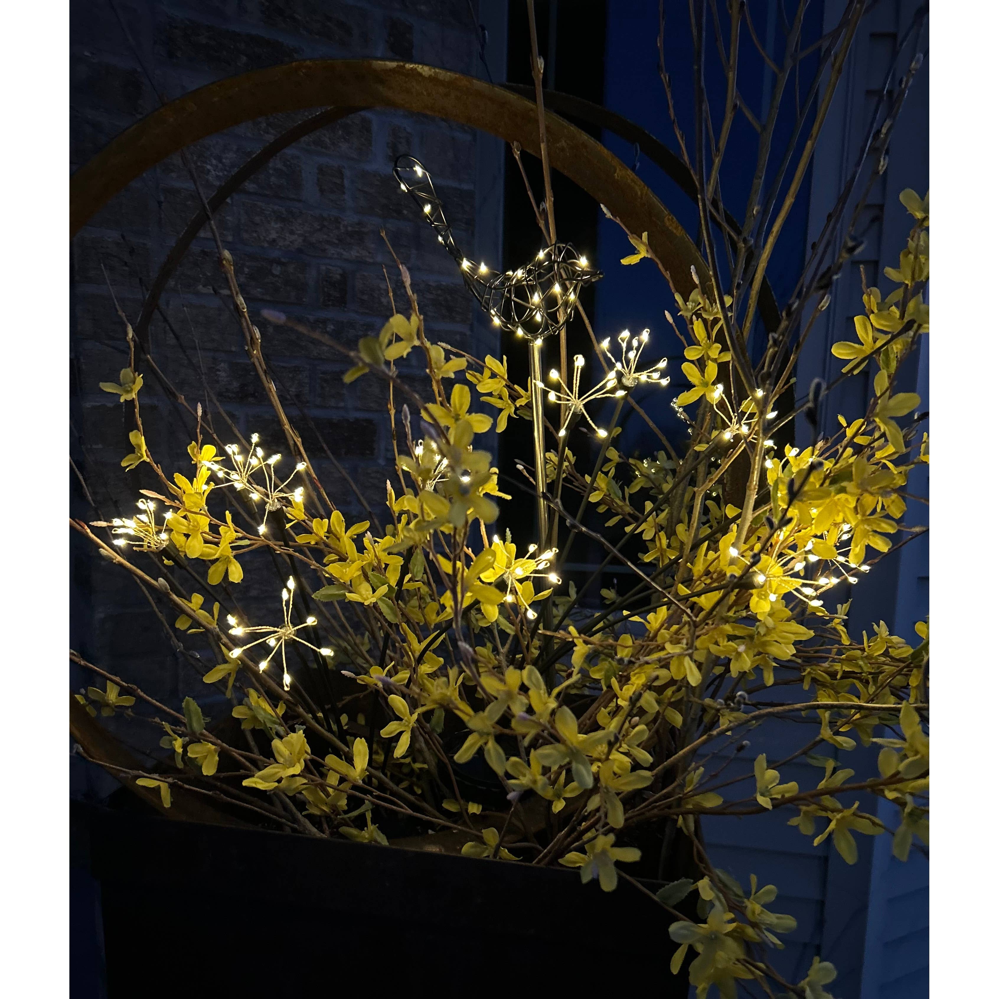 Will's Company - Wholesale Garden/Lawn Stake - LED Solar Dandelion Burst Garden Stake - Box of 2, 29.5"5