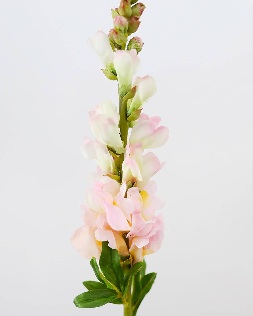 Prestige Botanicals - Wholesale Artificial Flowers - Real Touch Pink Snapdragon 23”4