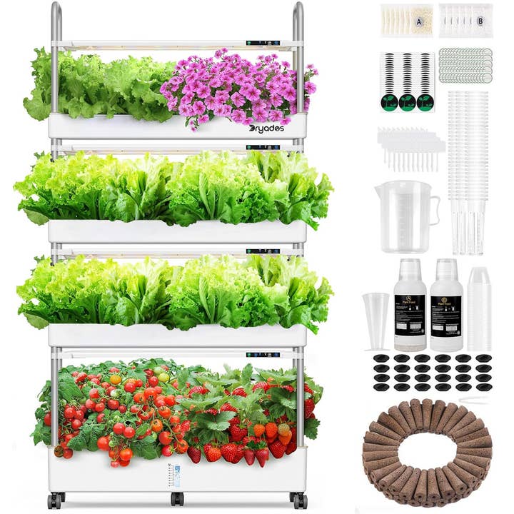 Kit de Système de Culture Hydroponique Dryades, 120 Capsules, Grand Jardin Hydroponique Vertical, Système de Jardinage Intérieur de 48L pour Herbes Légumes Fruits, avec 4 Modes de Lumière, Système d'Eau à Circulation Automatique Z210-4L-WH pour la vente par Dryades
